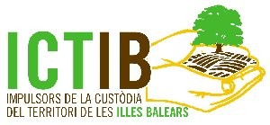 Logo ICTIB