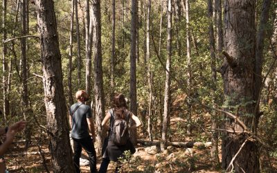 Los acuerdos de custodia del territorio aumentan un 49% hasta alcanzar los 4.632