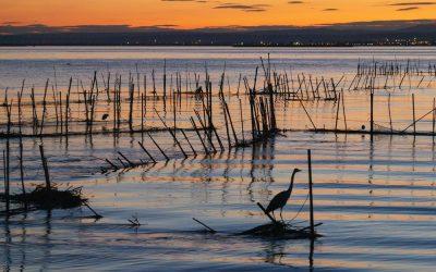 El primer encuentro participativo para impulsar la custodia del territorio en las políticas públicas reúne a...