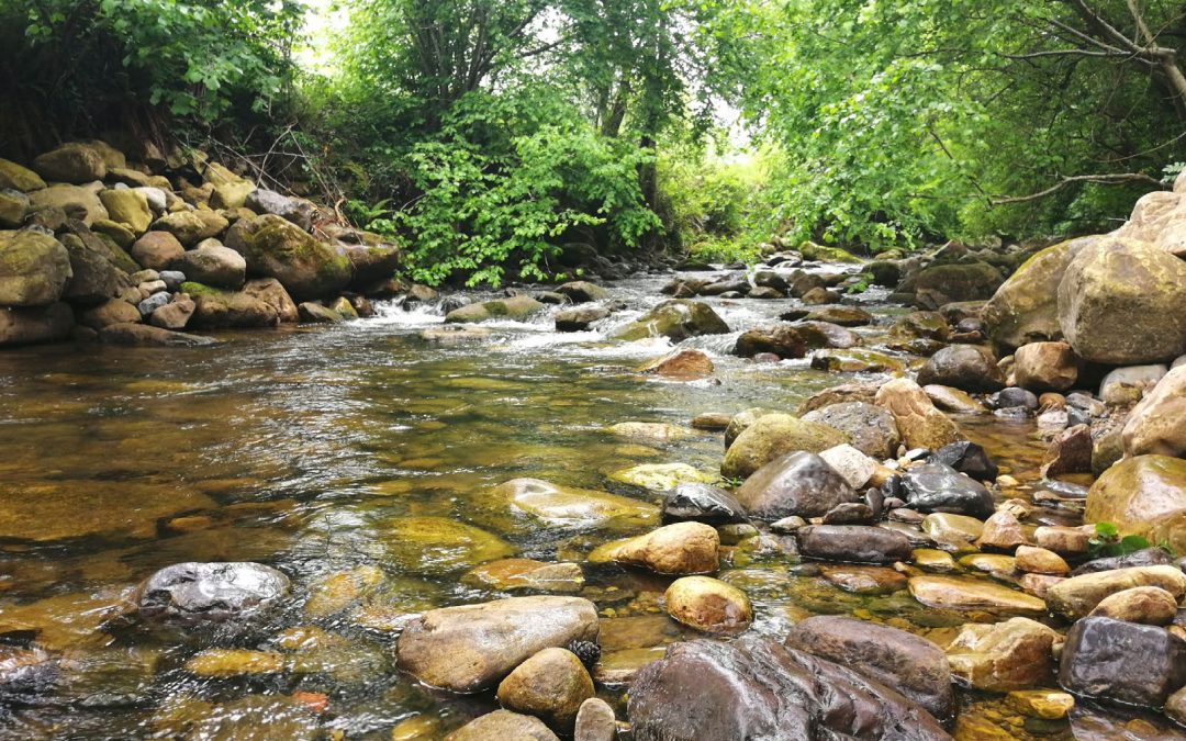 El proyecto Fluviatilis presenta una hoja de ruta para la restauración colaborativa de los ríos 