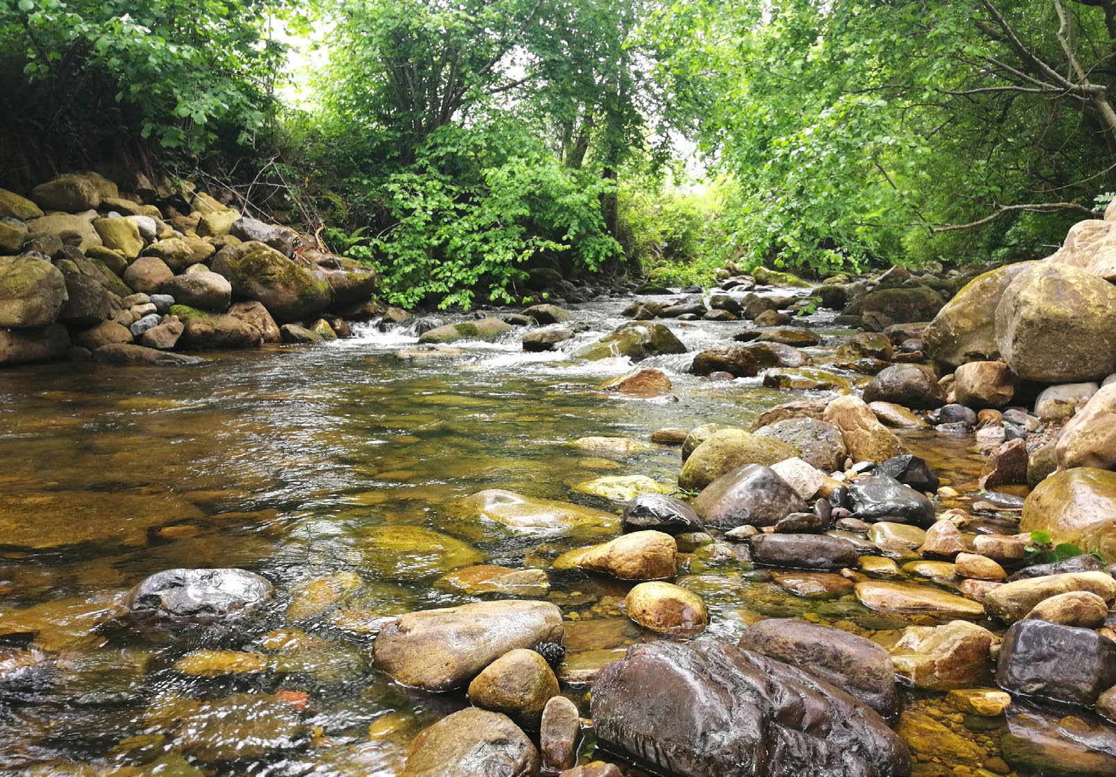 Guia-FLUVIATILIS-2025_VF_